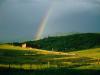 Color and Light, Steamboat, Colorado